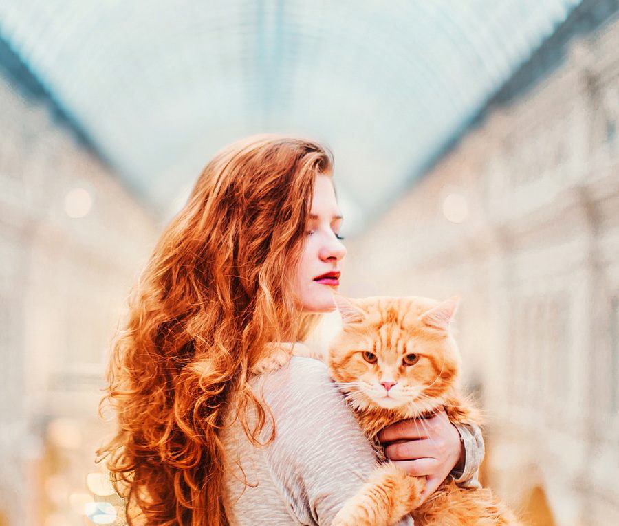 Kotleta le chat de Kristina Makeeva.