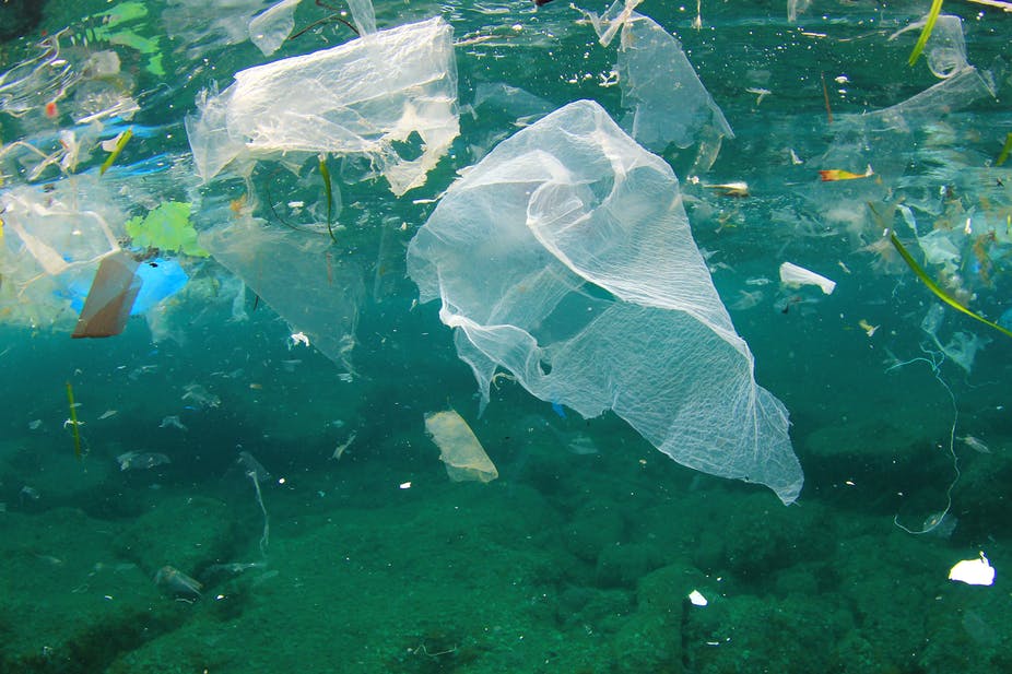 La pollution par le plastique.