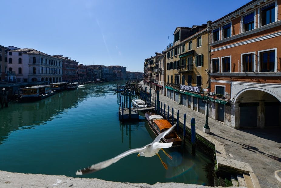 Les Canaux de Venise sans âme qui vive à part les mouettes.