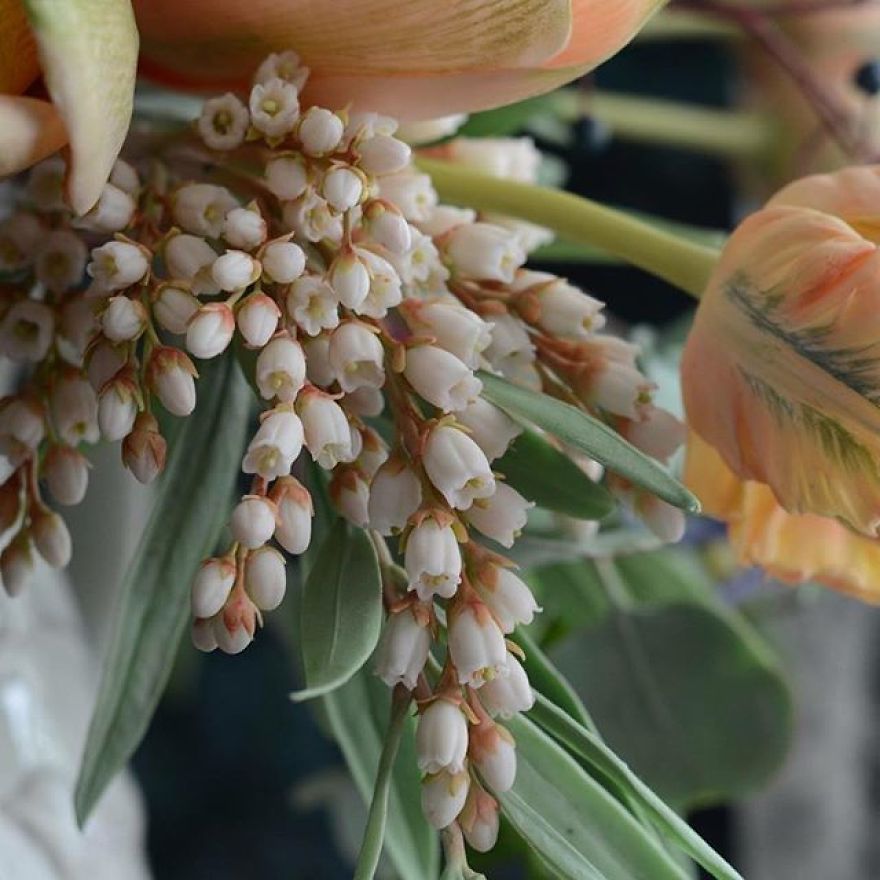 Des fleurs en porcelaine plus vraies que nature