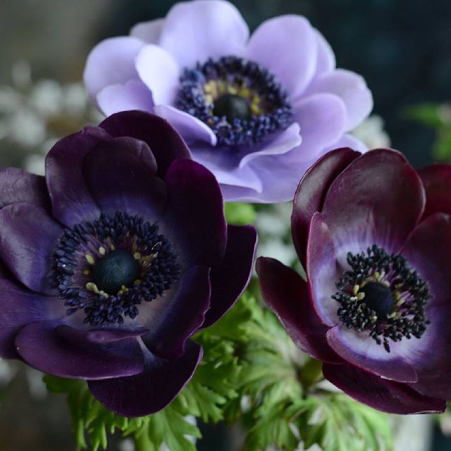 Des fleurs en porcelaine plus vraies que nature