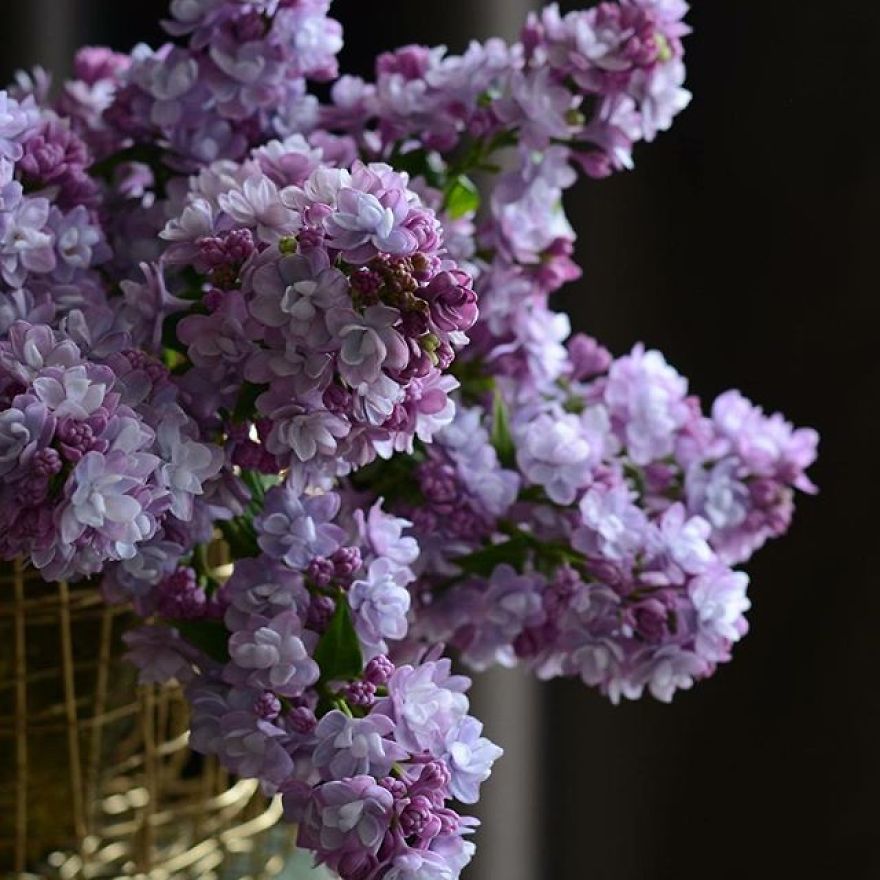 Des fleurs en porcelaine plus vraies que nature