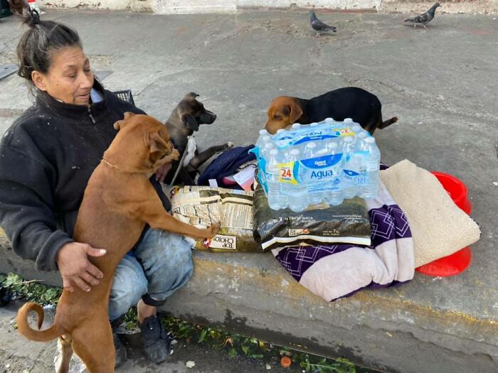 SDF avec six chiens, une histoire de fidélité